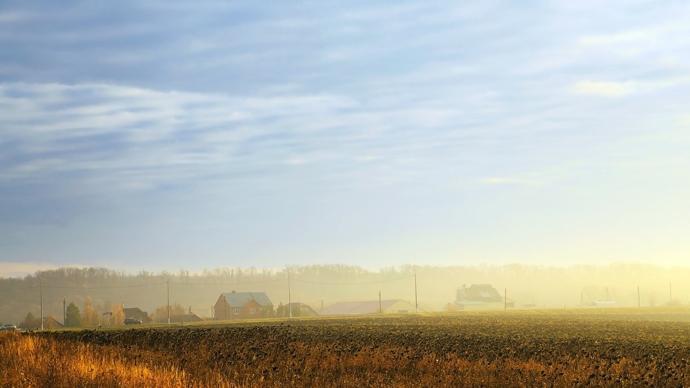 Туманное утро