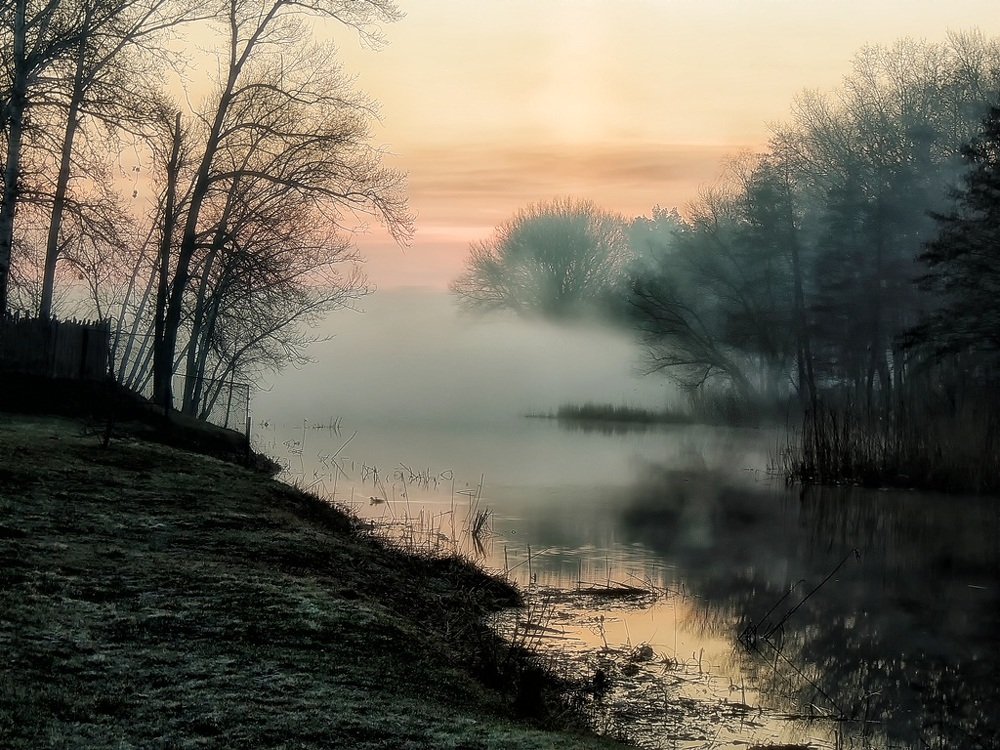 Photograph by Роман Савоцкий