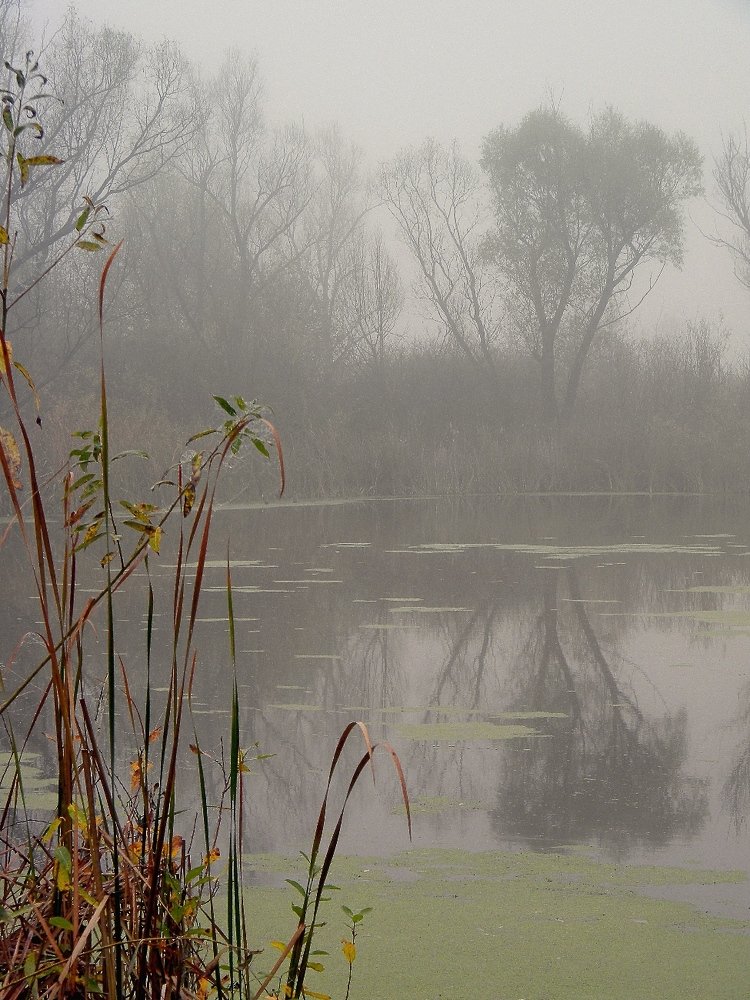 Фотография автора Роман Савоцкий