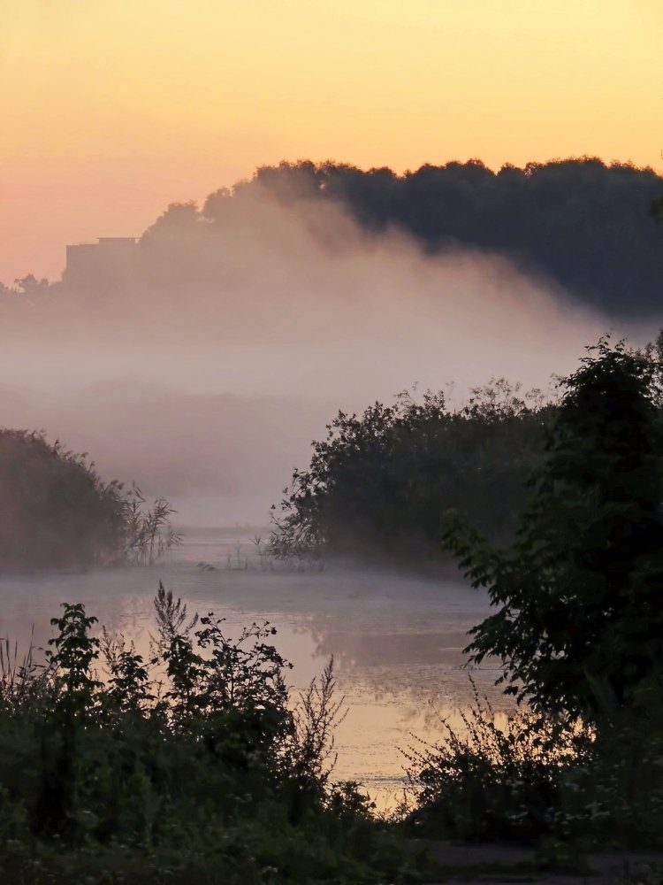 Фотография автора Роман Савоцкий