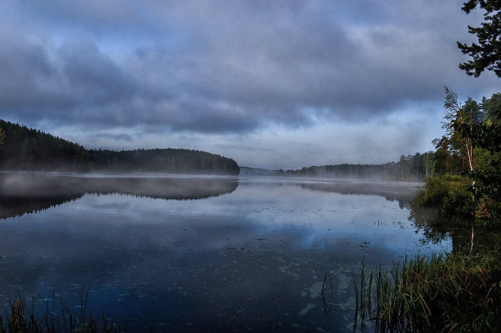 Утро сентября