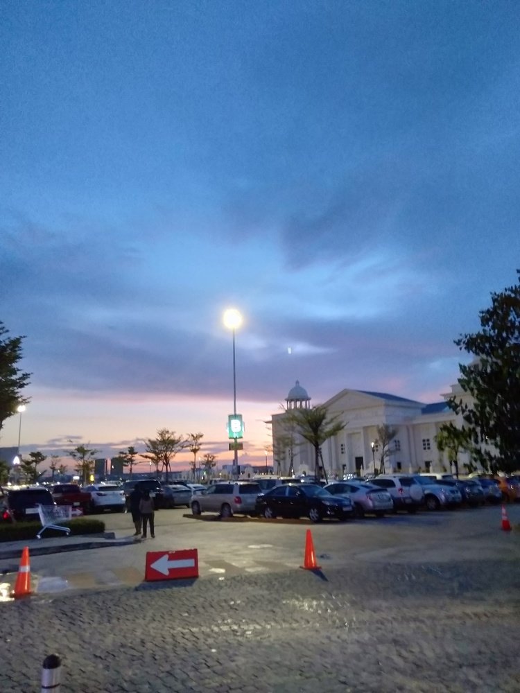 Photo #4626261