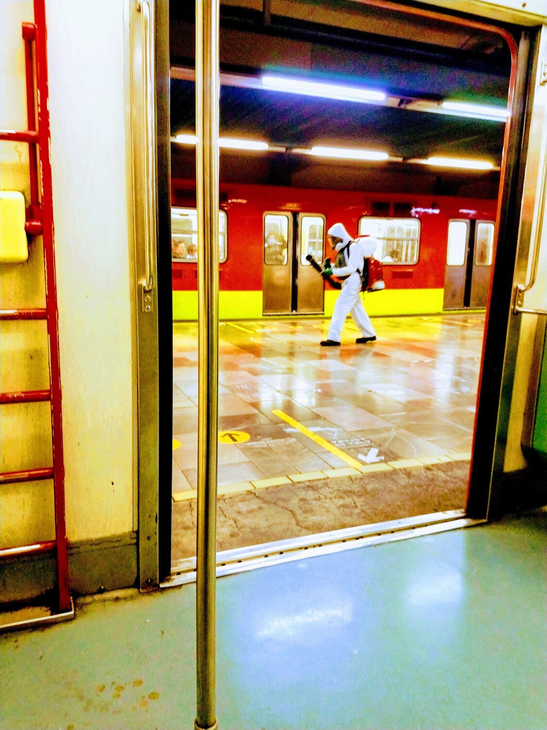 Photo #4626289