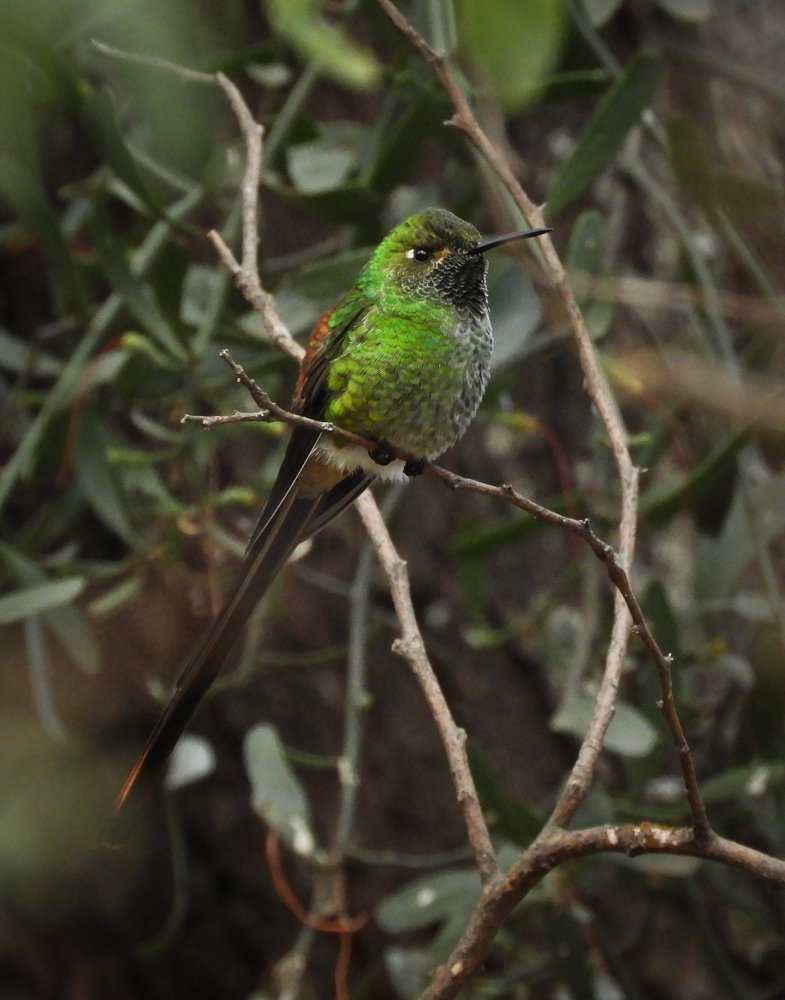 Photograph by Julian Hernandez