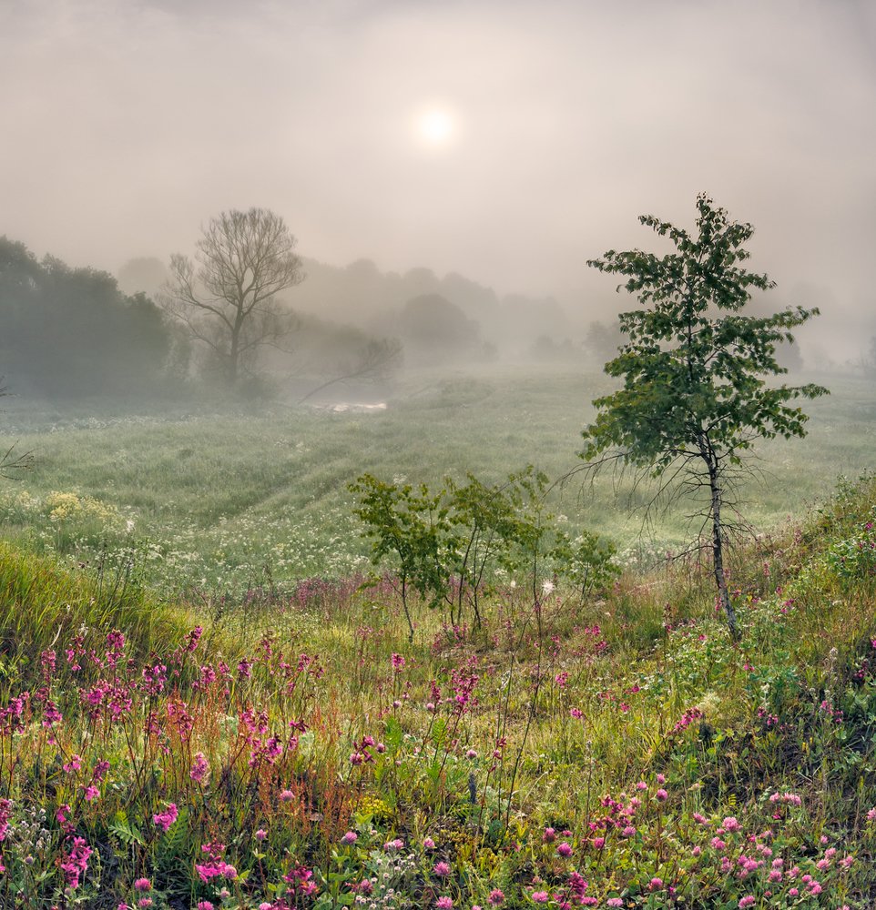 Фотография автора Николай Андреев