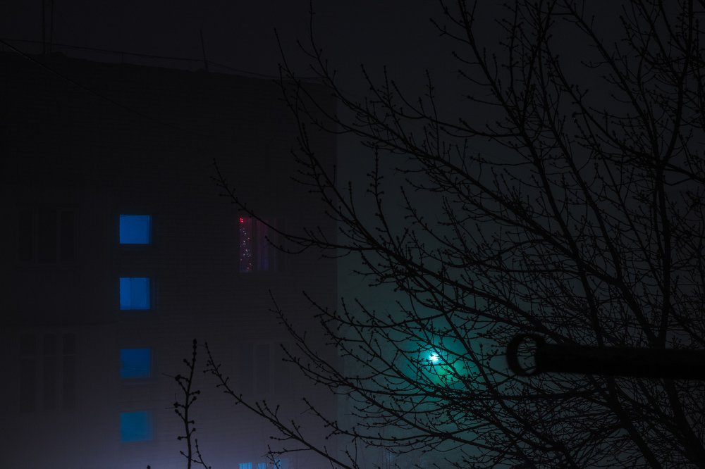 Photograph by Денис Матвеев