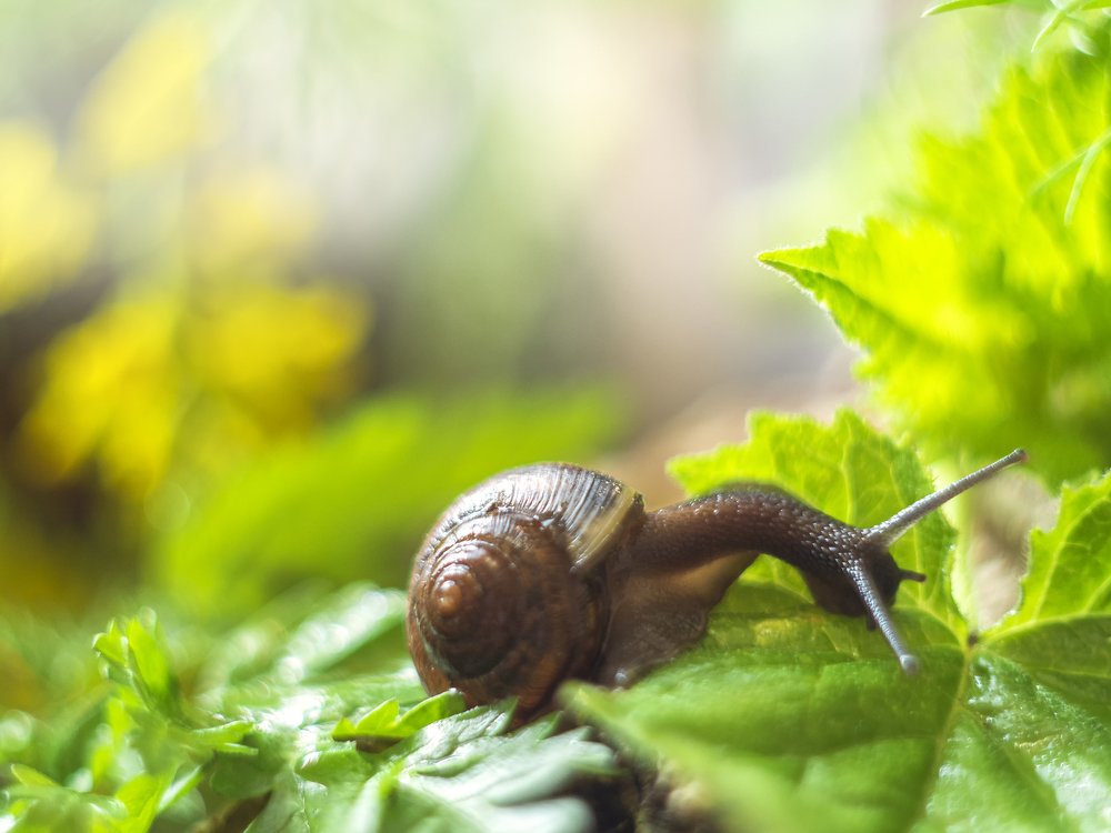 Photograph by Гульсинэ Шаина