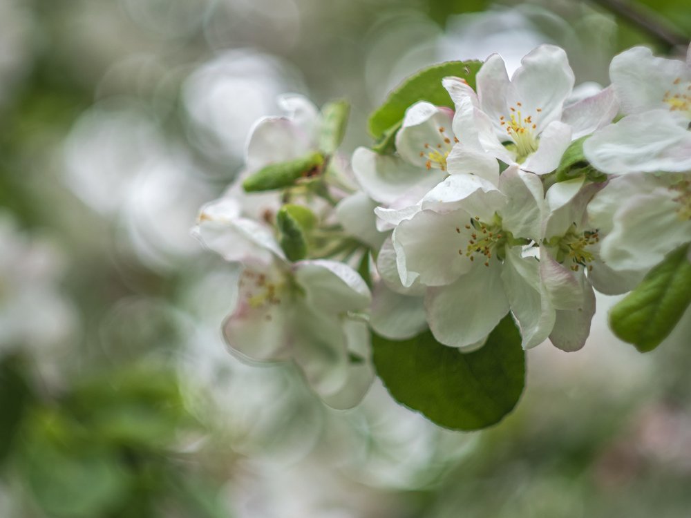 Photograph by Гульсинэ Шаина