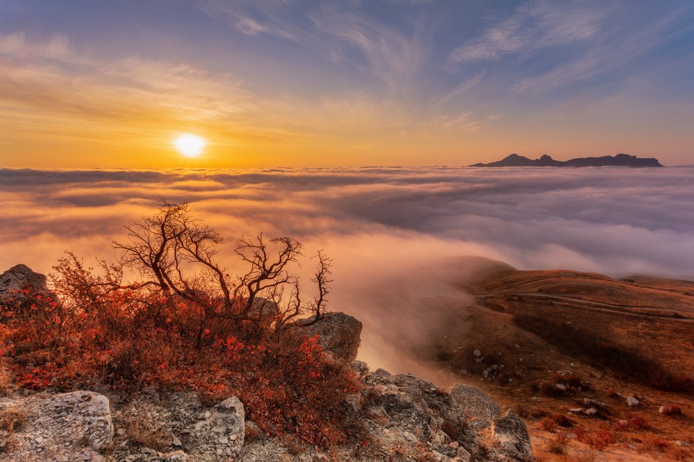 Photograph by Юлия Шумляева