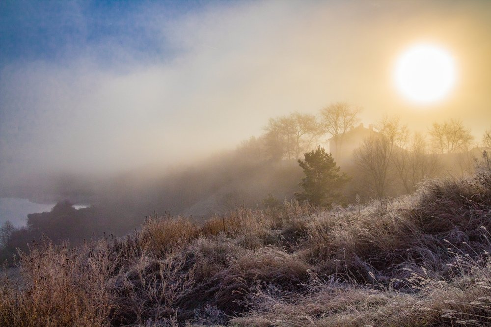 Photograph by Дмитрий Тимин