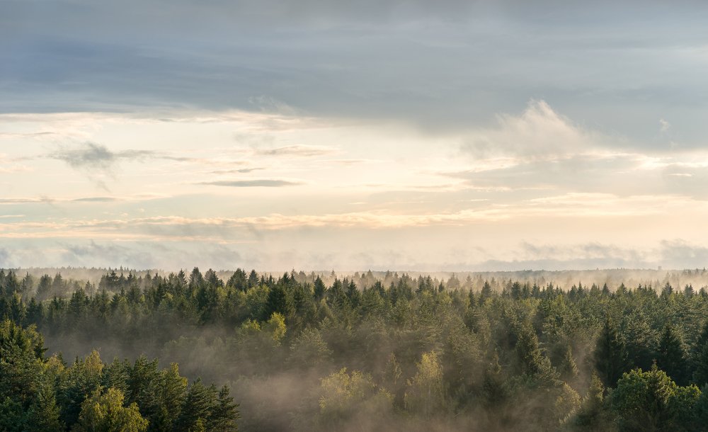 Photograph by Евгений Драбленков