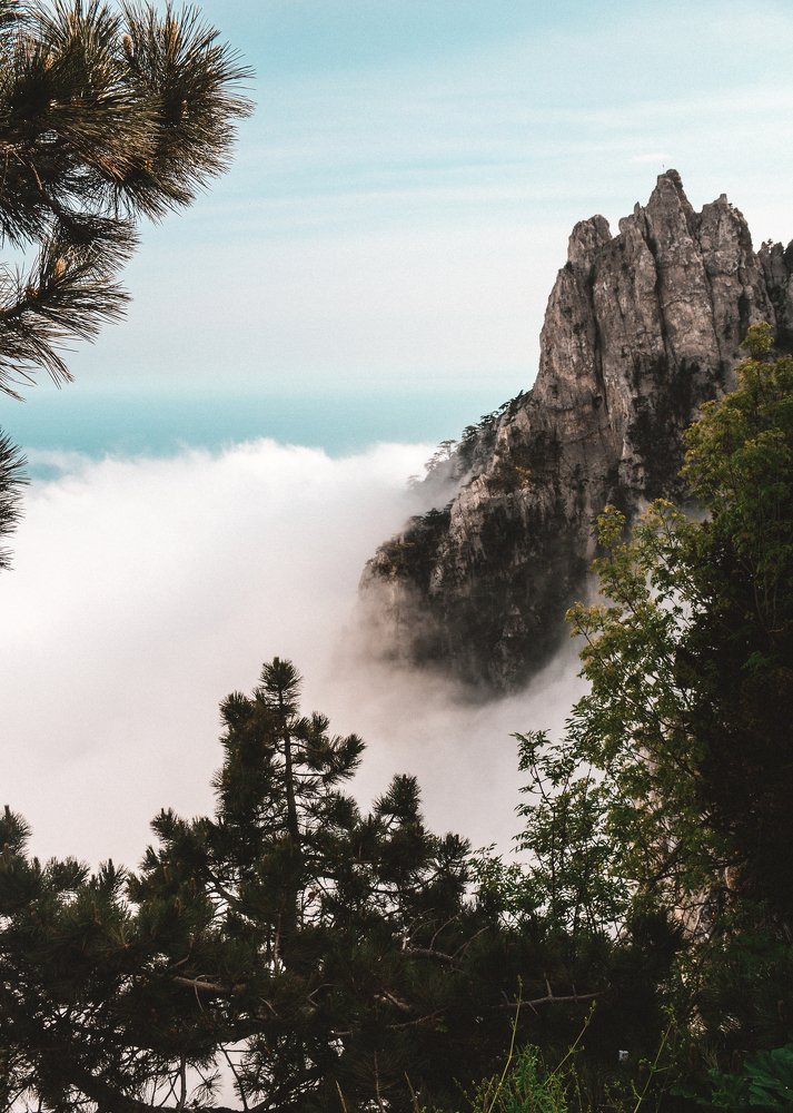 Photograph by Masha Turova