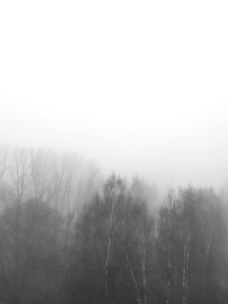 Photograph by Михаил Мартынов