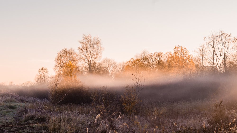 Photograph by Евгений Калагаев