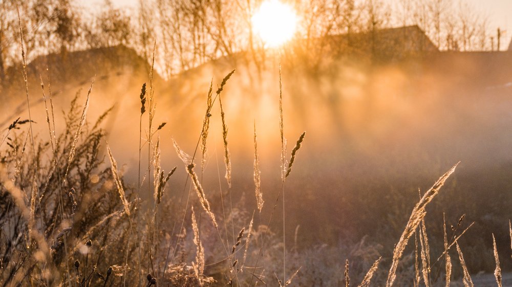 Photograph by Евгений Калагаев