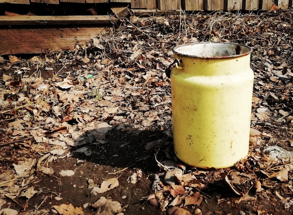 Photo #4626663