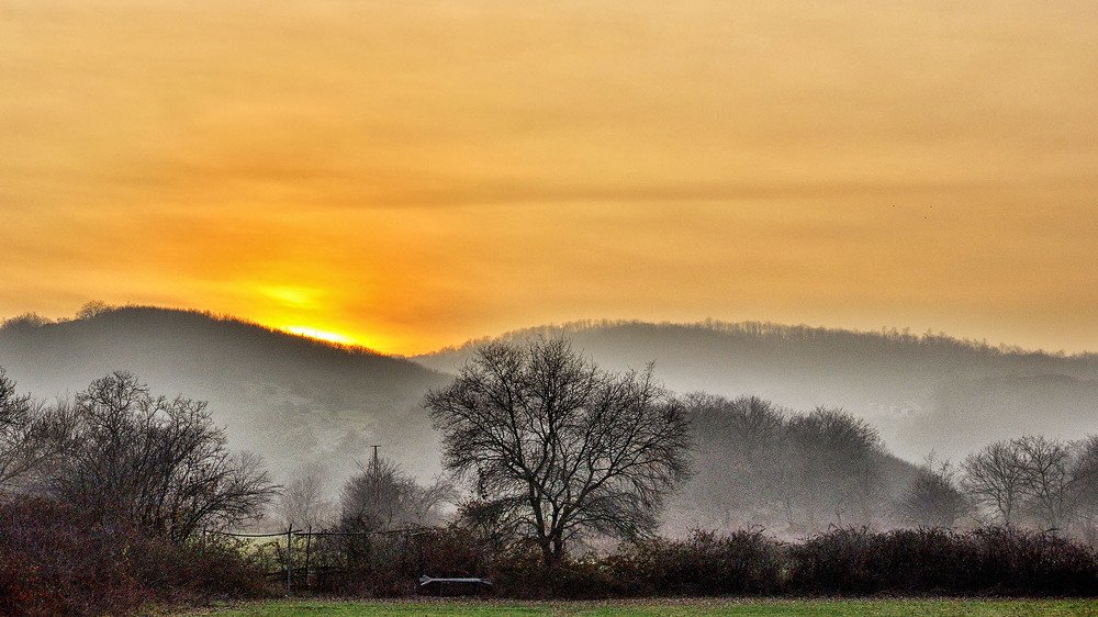 Photograph by Bekir Yesiltas