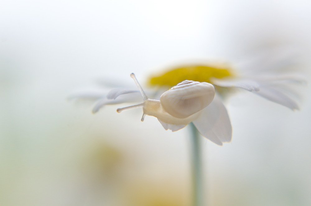 Photograph by Зоя