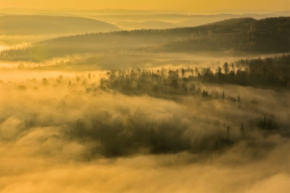 Осеннее туманное утро