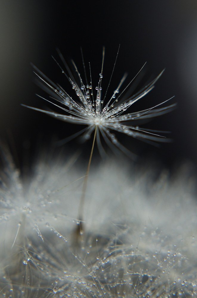 Photograph by Зоя