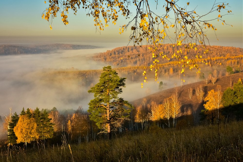 Туман осенью