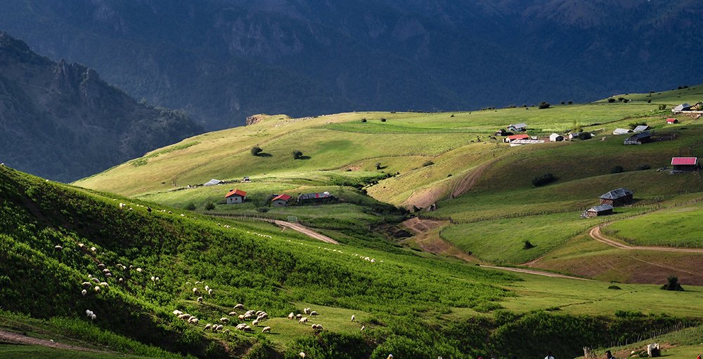 Фотография автора Erfan Rabiei dastjerdi