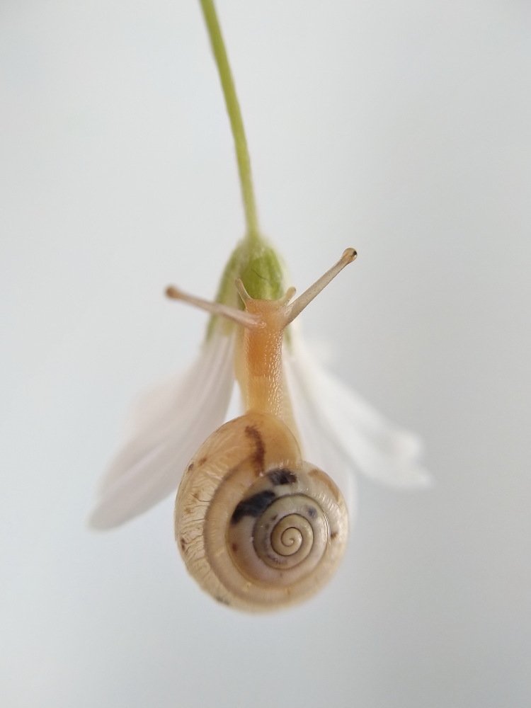 Photograph by Зоя