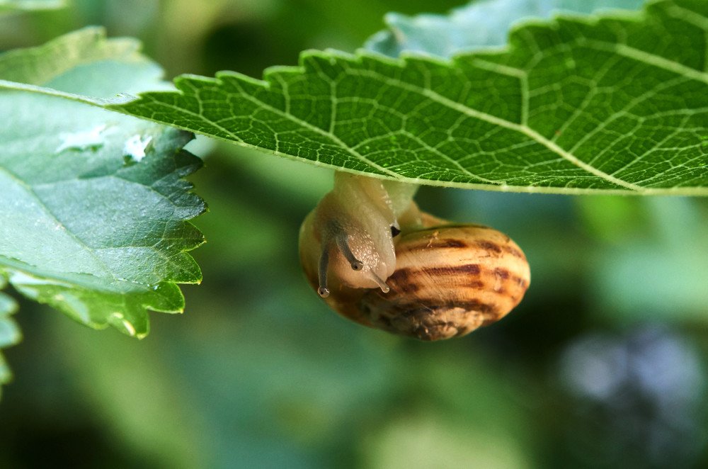 Photograph by Александр Пугачев