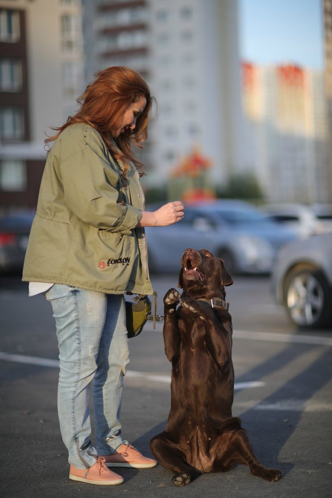 ОЧАРОВАШКА ЕЛЕНА  И СТЕЛЛА ФИДЕЛИС ЭЛЕГИЯ.