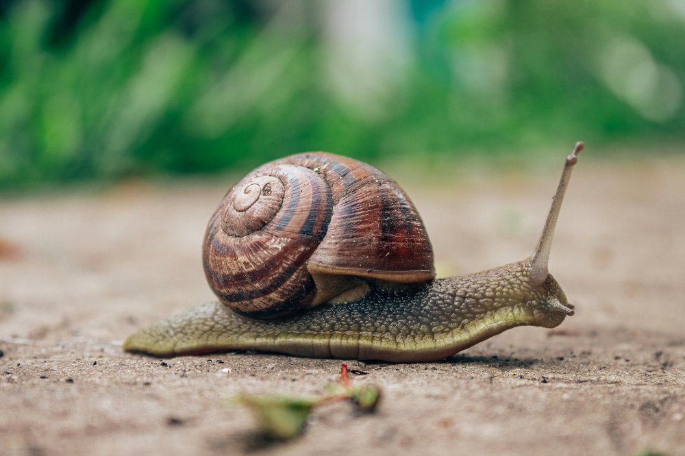 Photograph by Алексей Морозов