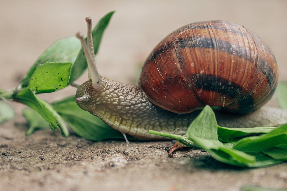 Photograph by Алексей Морозов