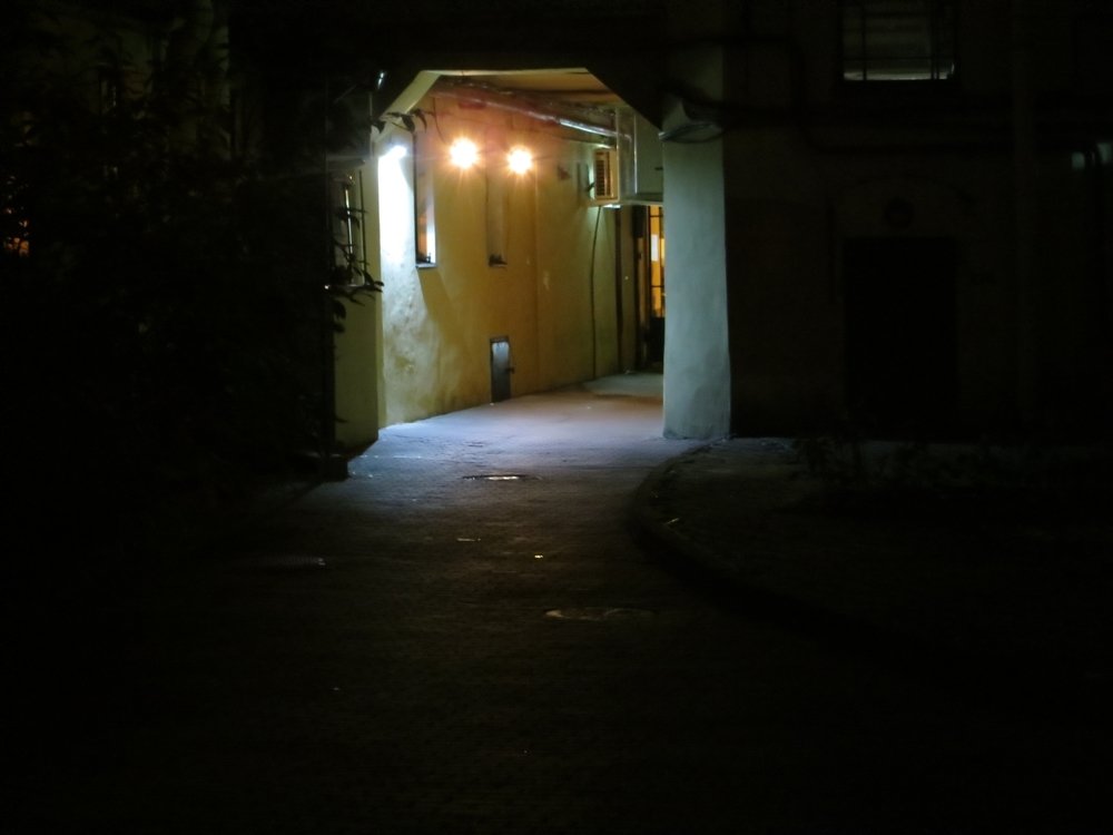 Photo #4626927