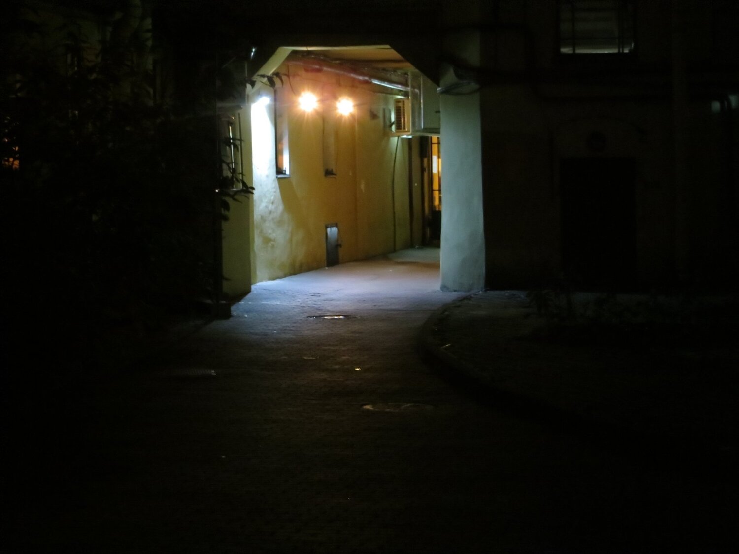 Photo #4626927