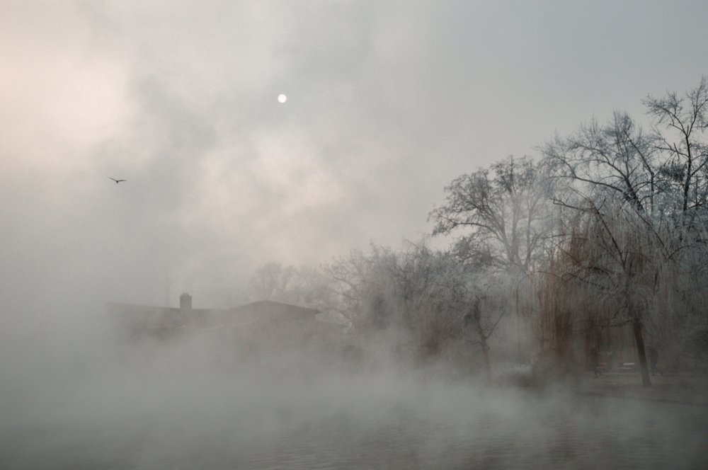 Photograph by Masha Turova