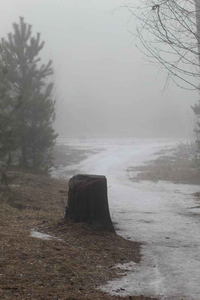 Photograph by Николай Николаевич Леухин