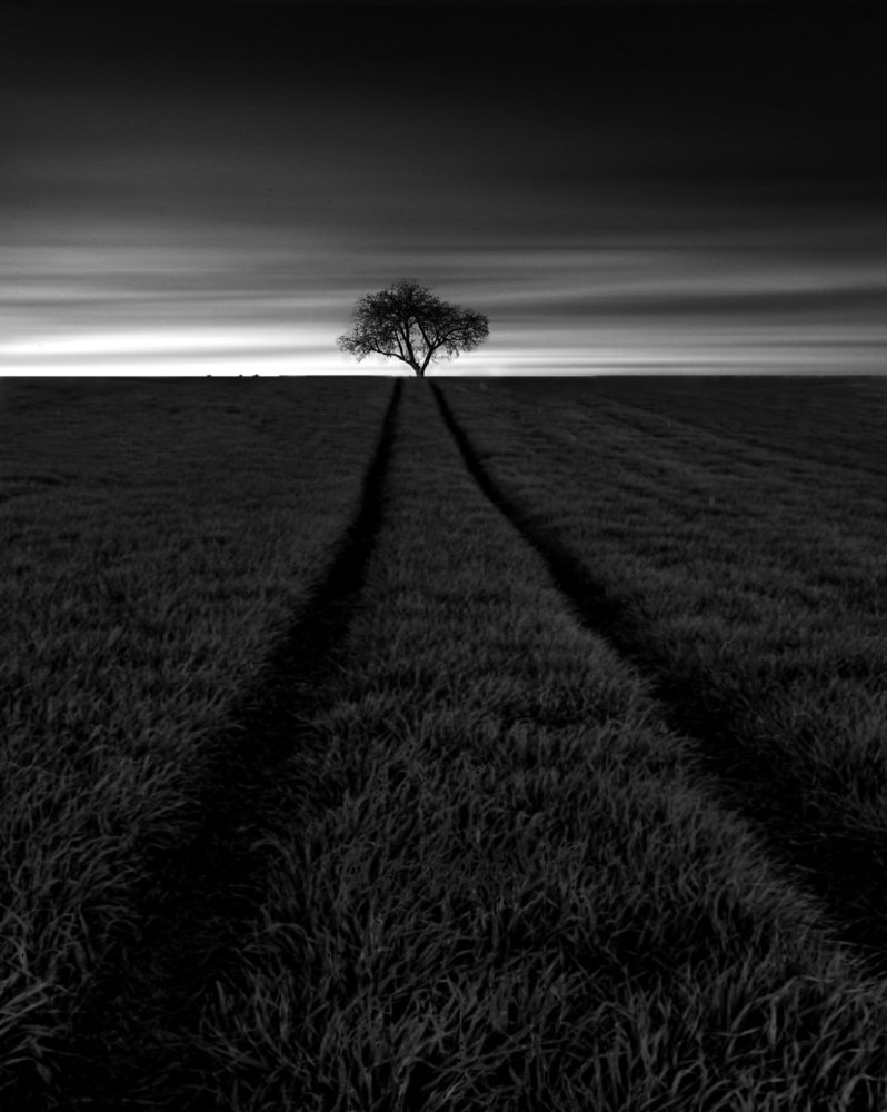 Photograph by Karim Bouchareb