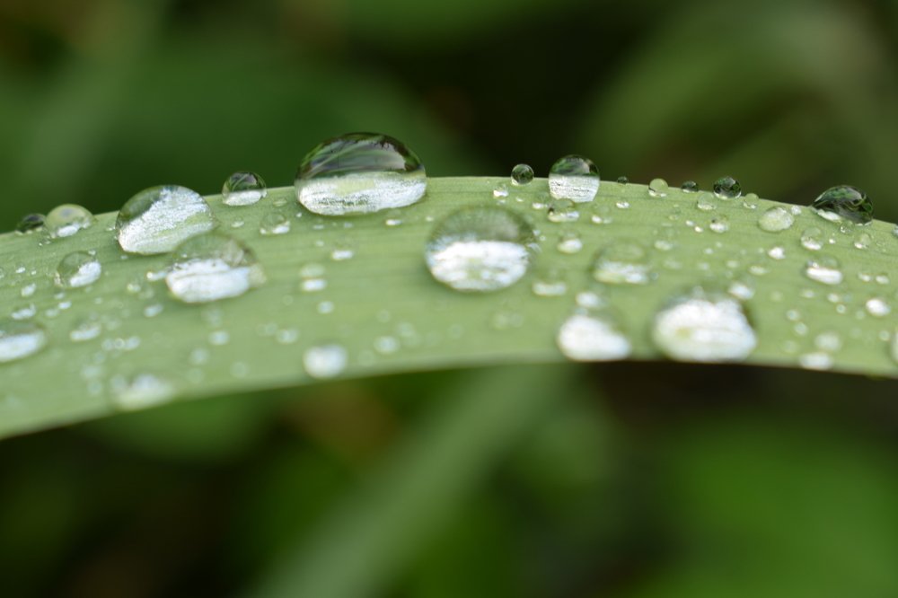 Отражение природы