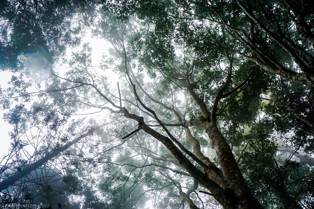 Photograph by phantoms thief