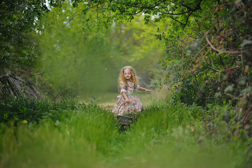 Летняя сказка