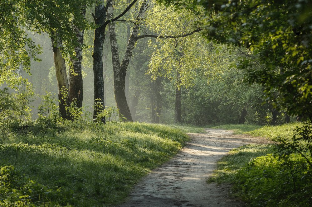 Photograph by Юлия Лаптева