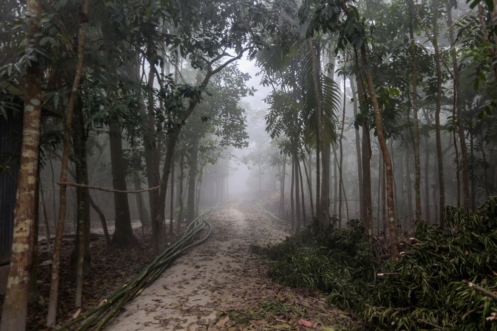 Photograph by Najmul Huda