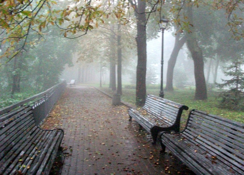 Photograph by Irina Radzinskaya