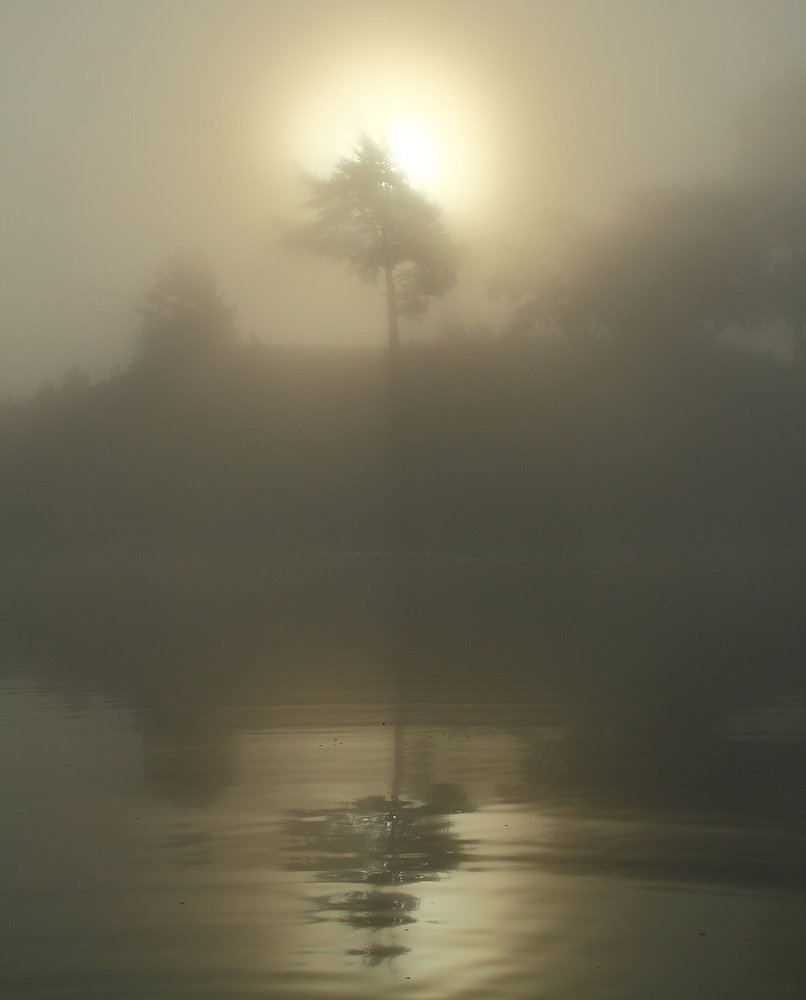 Photograph by Оля Маркова