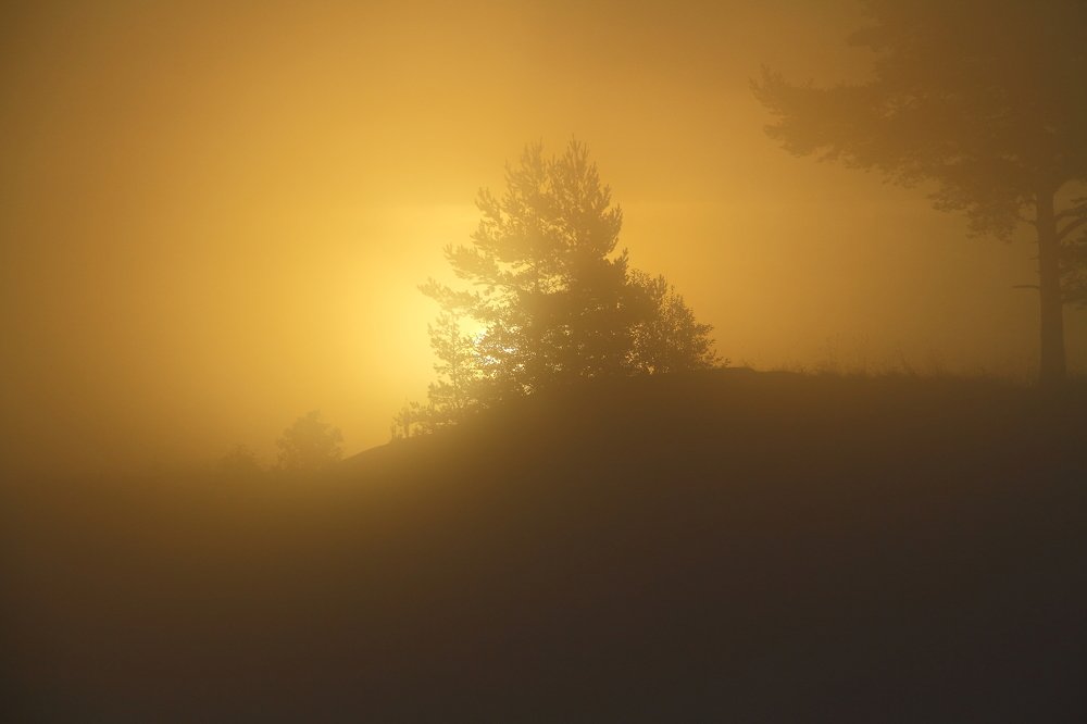 Photograph by Оля Маркова