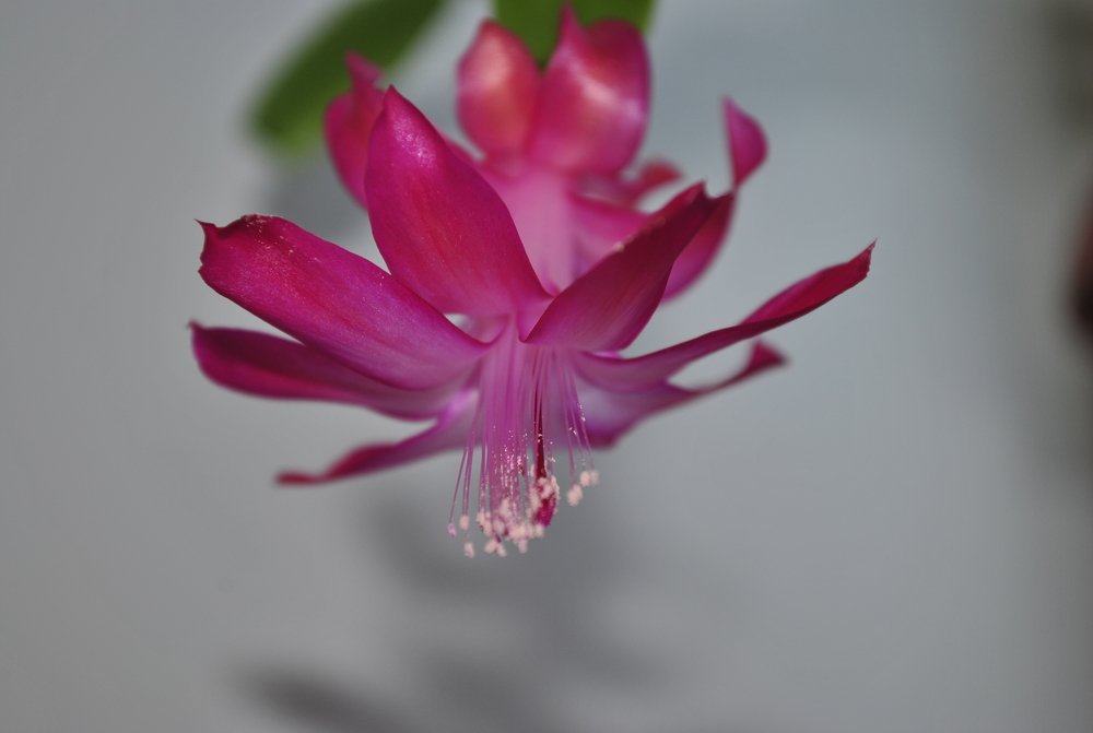 Photograph by Татьяна Малькова