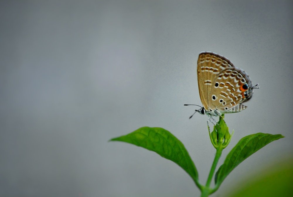 Photograph by Aryan Paradkar