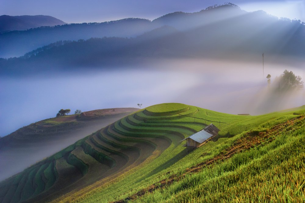 Photograph by Hoàn Nguyễn