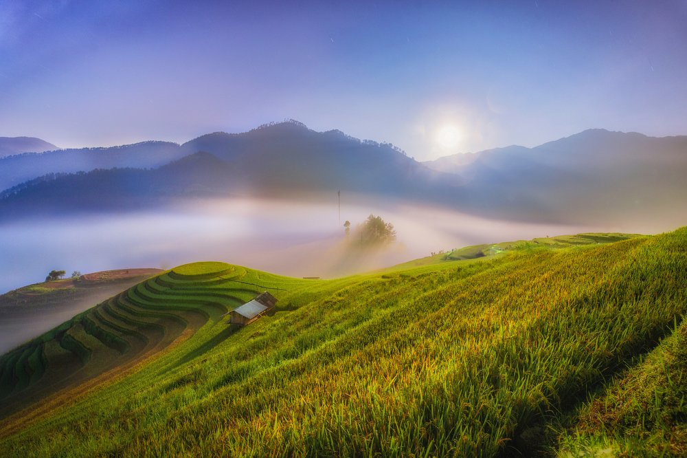 Photograph by Hoàn Nguyễn