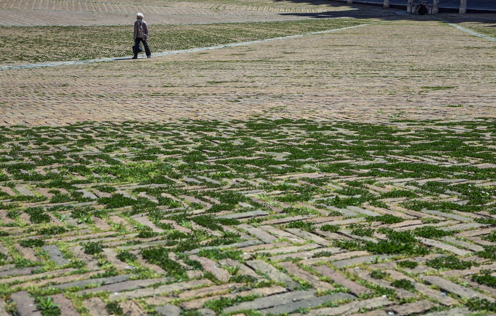 Фотография автора Christian Brogi