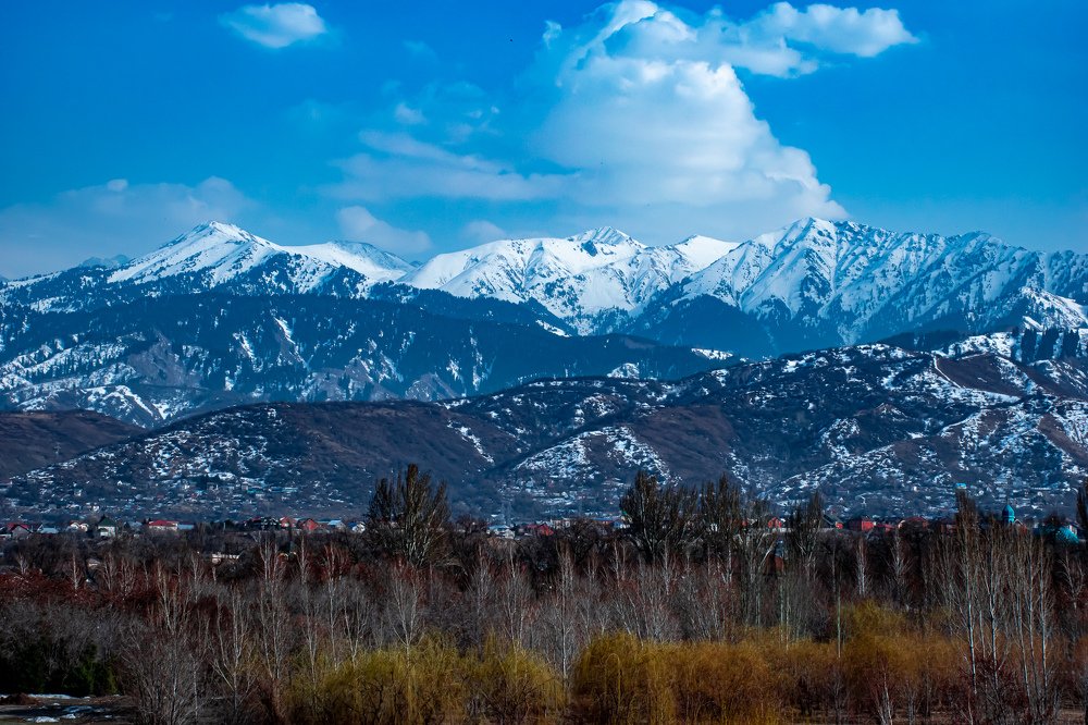 Photograph by Евгения Хван